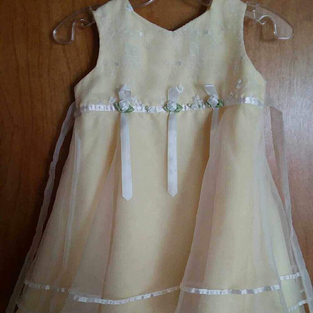 Toddler Girl Party dress